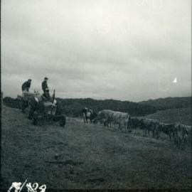 Te Whaiti Māori Boys Farm