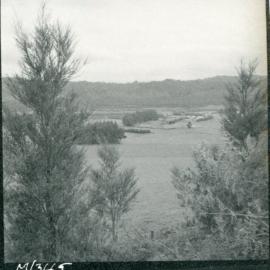 Te Whaiti Māori Boys Farm