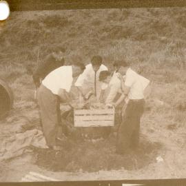 Opening Up a Hangi
