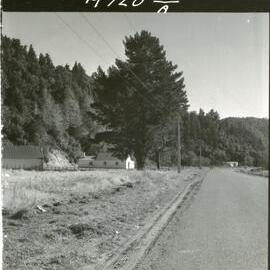 Tour of South Urewera Parish
