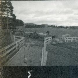 Te Whaiti Māori Boys Farm 